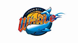 继续征战CBA？媒体人：四川男篮国内球员压哨注册成功